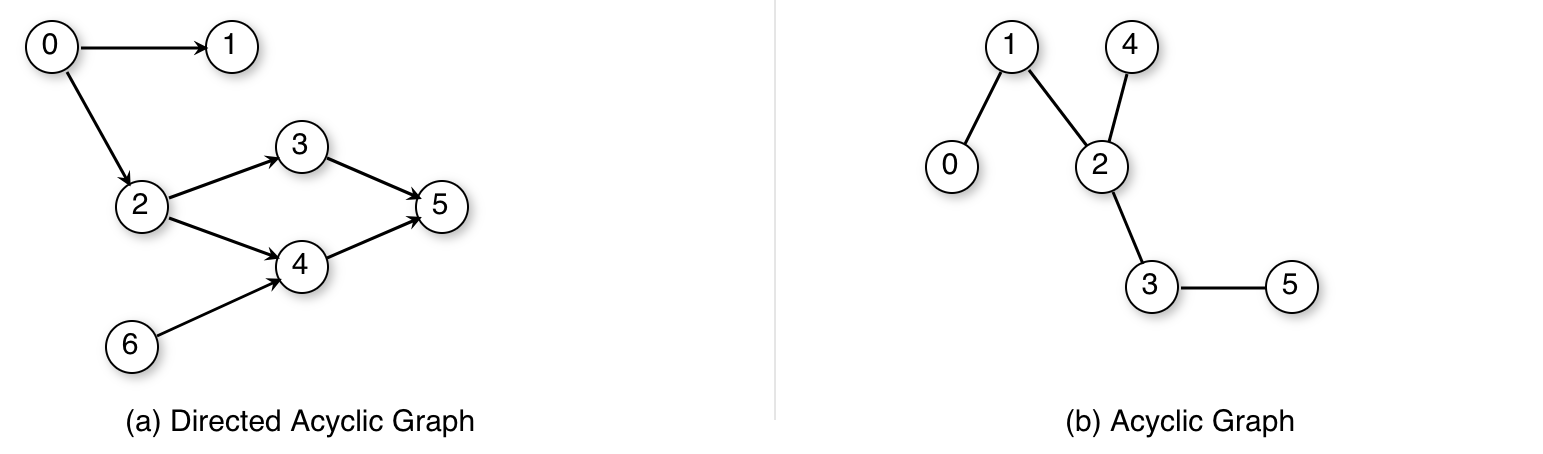 Figure 13.6: Acyclic graph types